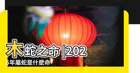 81年次屬什麼|【81屬什麼】81屬什麼？出生民國81年是哪個生肖？今年幾歲？一。